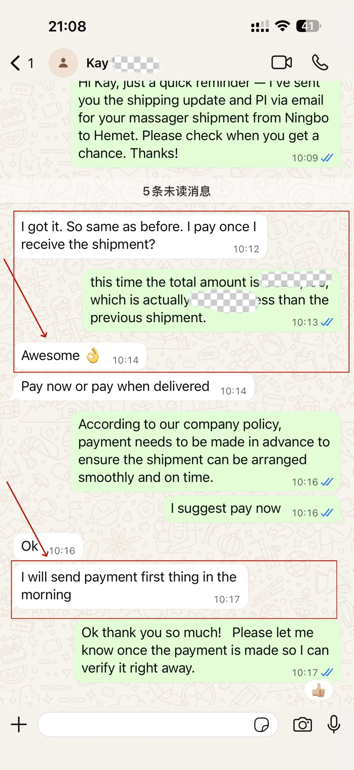 Customer conversation screenshot 3