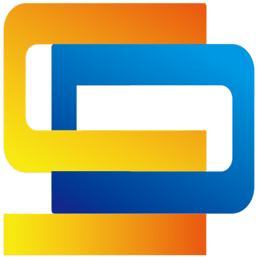 DingShang Logistics Logo